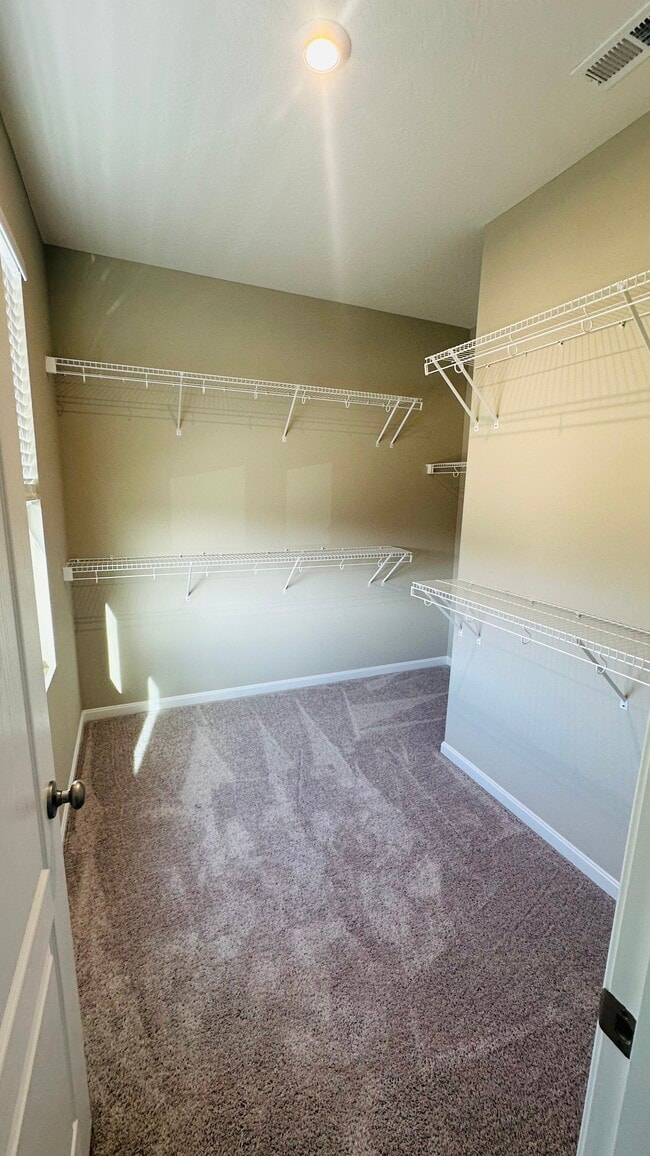 Building Photo - 2075 Wild Berry Wy