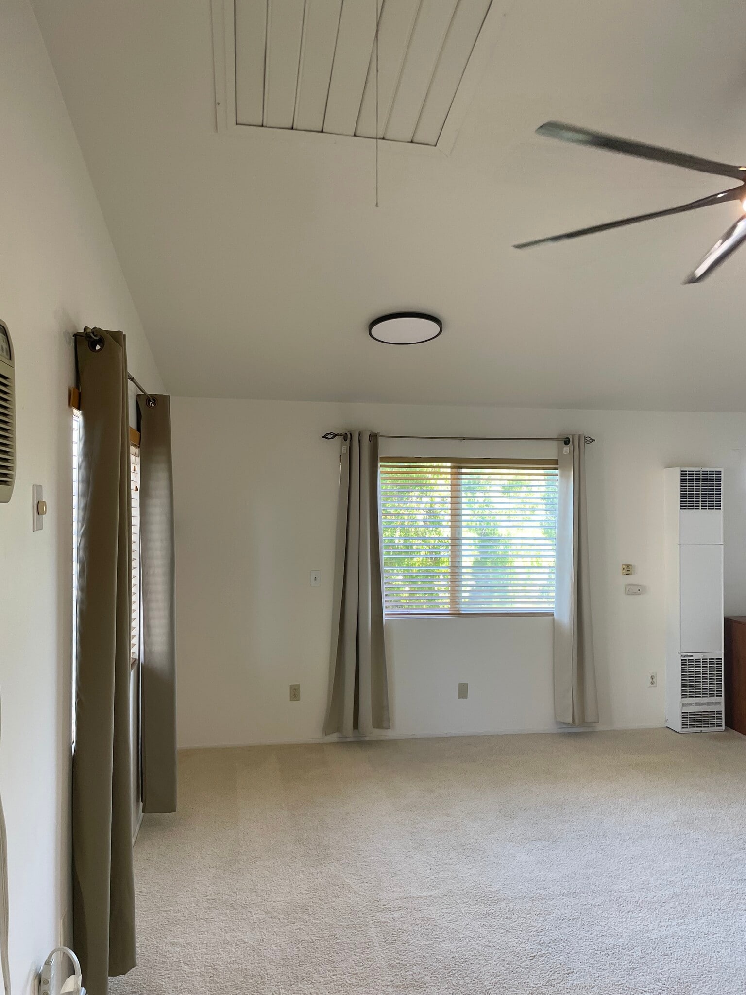 Building Photo - 572 Plumosa Ave