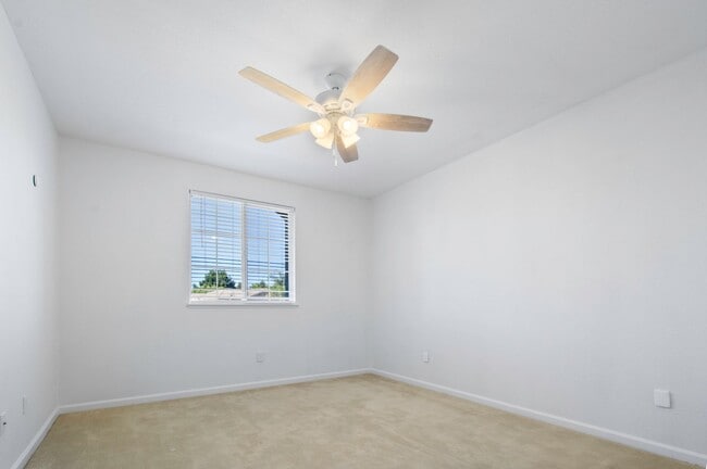 Building Photo - 991 Zephyr Ct