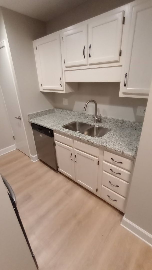 Building Photo - Remodeled 1 Bed 1 bath Condo Near Campus