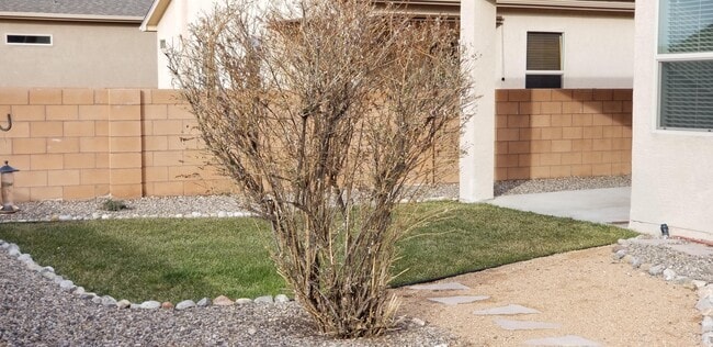 Building Photo - 1143 Desert Sunflower Dr NE
