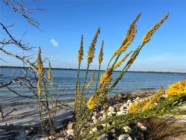 Building Photo - 8611 51st Ave W