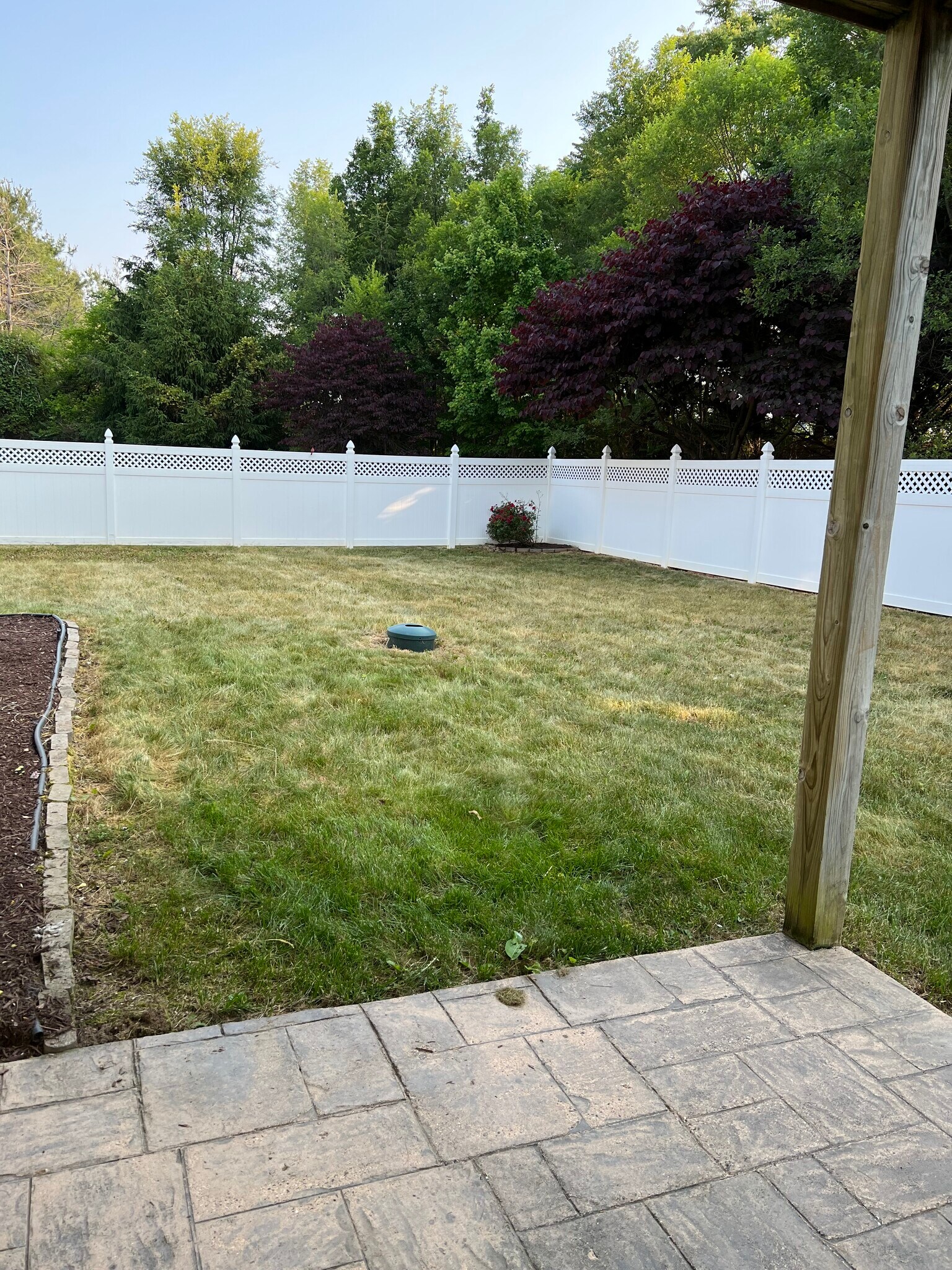 Building Photo - 155 Chelsea Cir