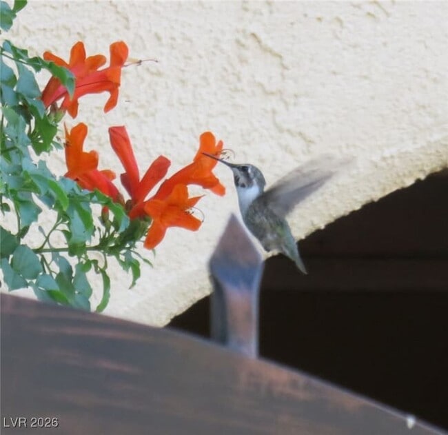 Building Photo - 481 Benedict Dr