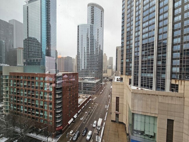 Building Photo - 505 N McClurg Ct