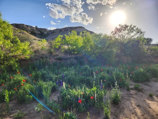 Building Photo - 11120 Gentry Ln