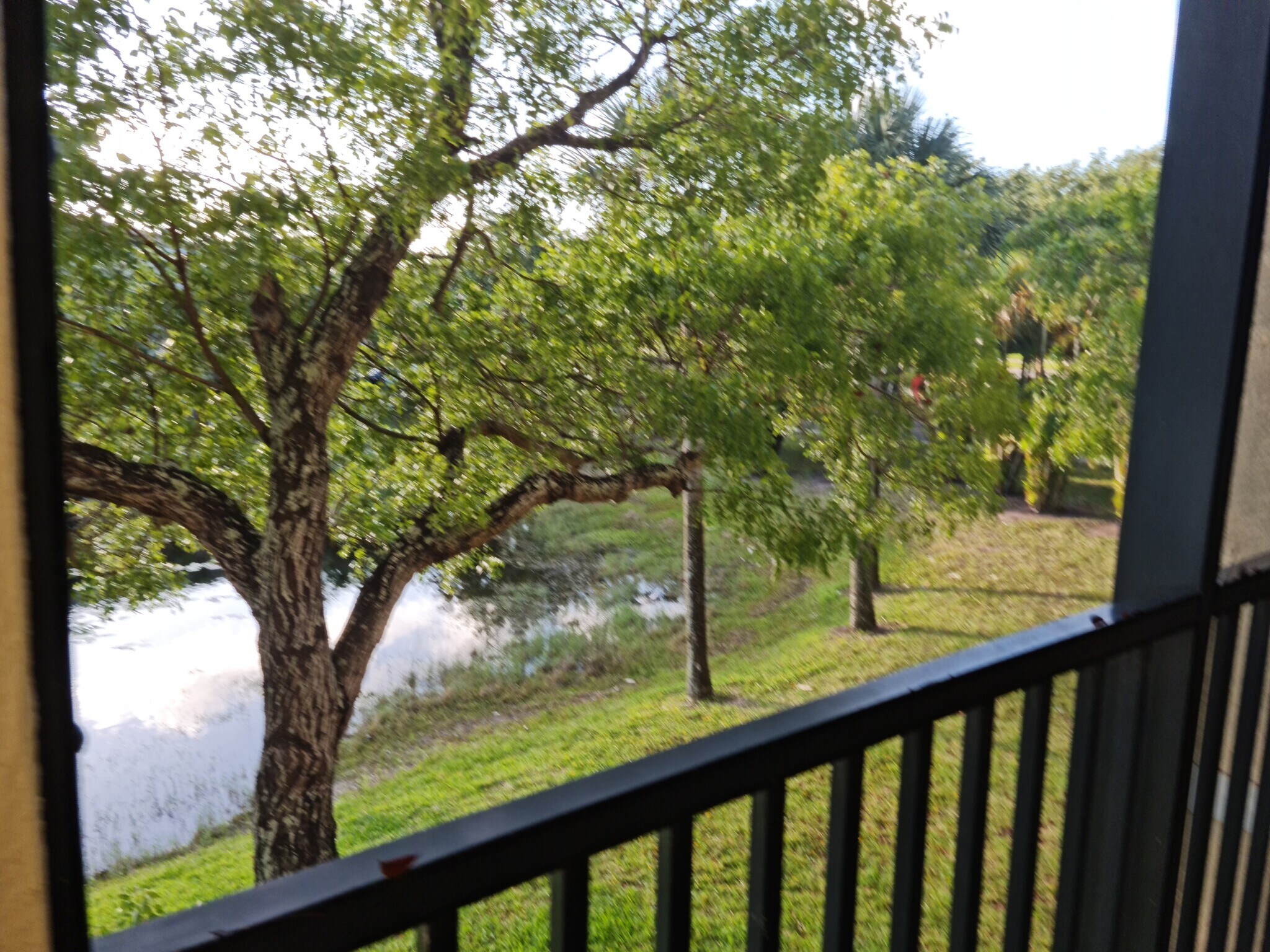 Building Photo - 2726 Anzio Ct