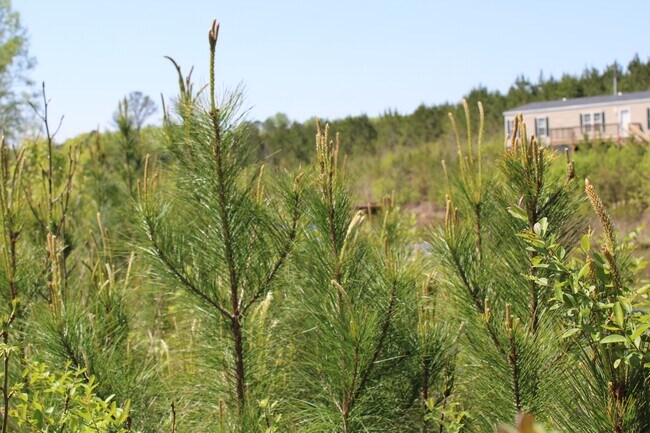 Building Photo - 818 W Grantville Rd