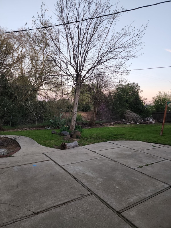 Building Photo - 220 Sherman Dr