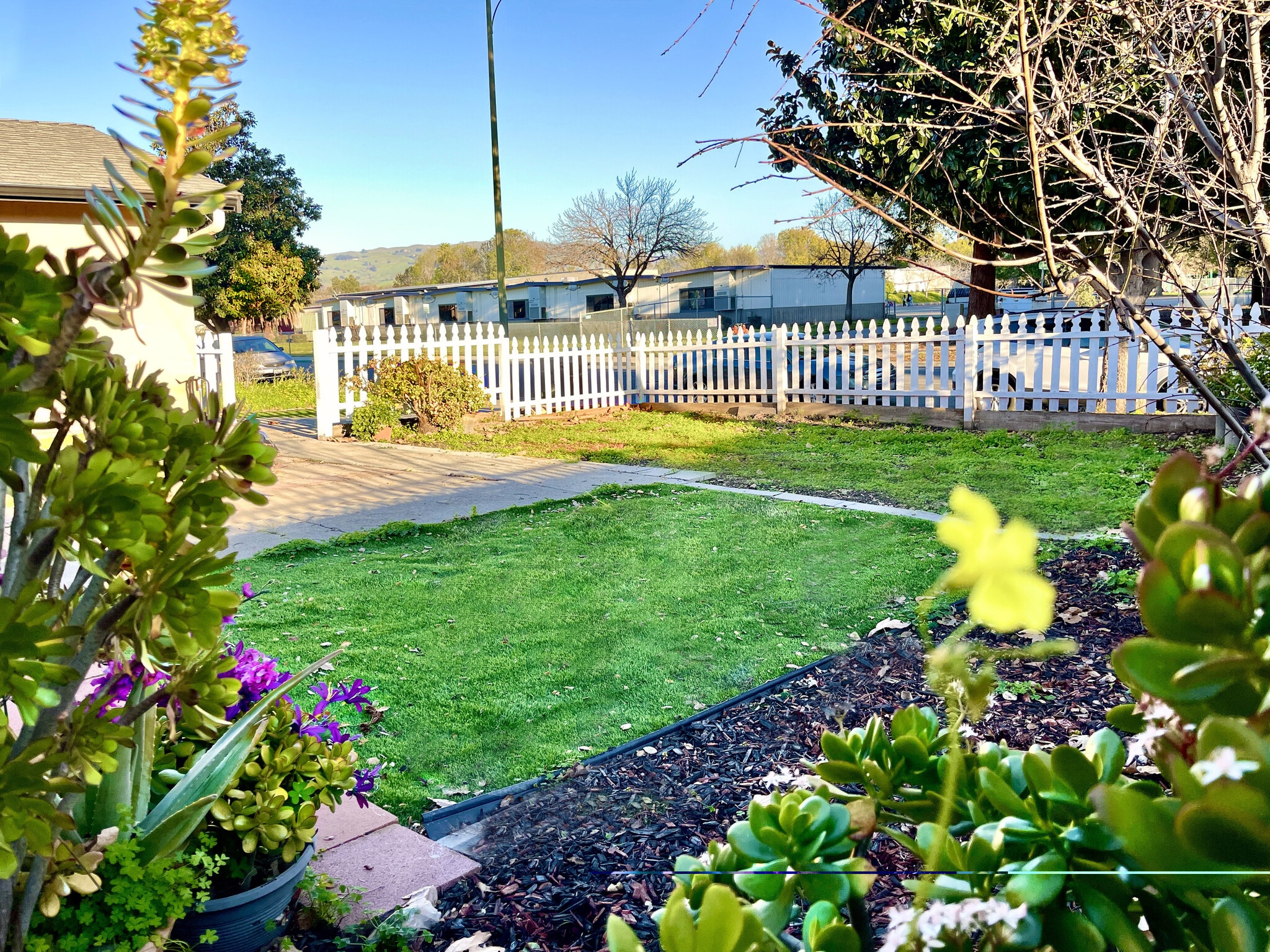 Building Photo - 2365 Fallingtree Dr