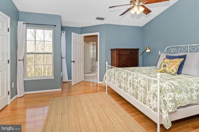 Building Photo - 2618 Summer Breeze Ct