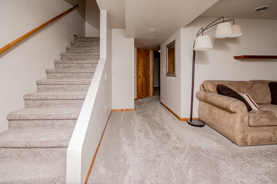 Lower Level/Basement - 1115 W Swallow Rd