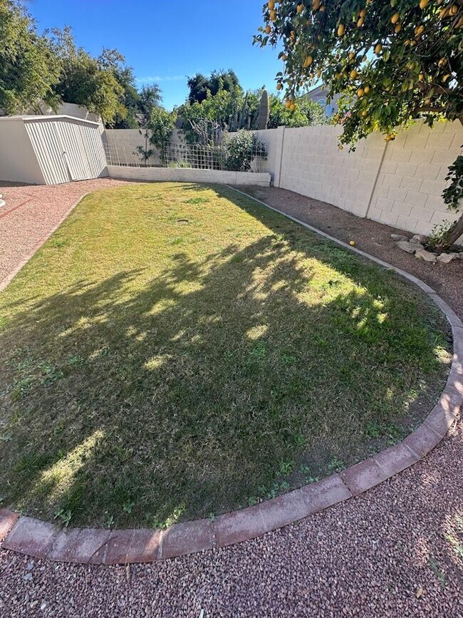 Building Photo - Gorgeous 4 bedroom Scottsdale home with POOL and 3 car garage