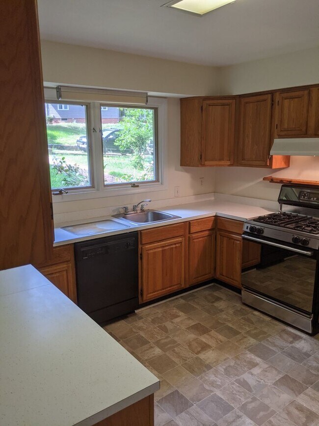 Building Photo - Chapel Hill / 4BR House in Historic Distri...