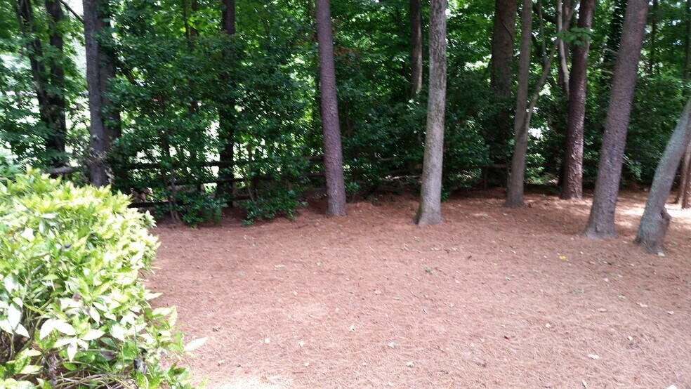 Building Photo - 4619 Country Woods Ln