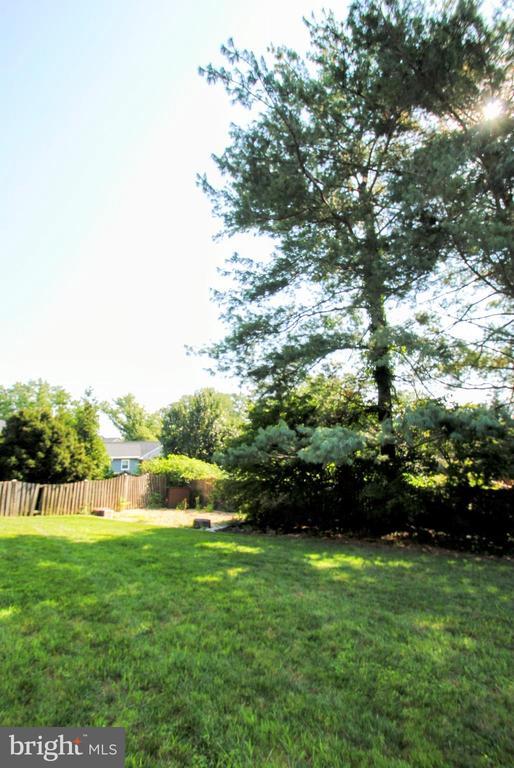 Building Photo - 1506 Chain Bridge Ct