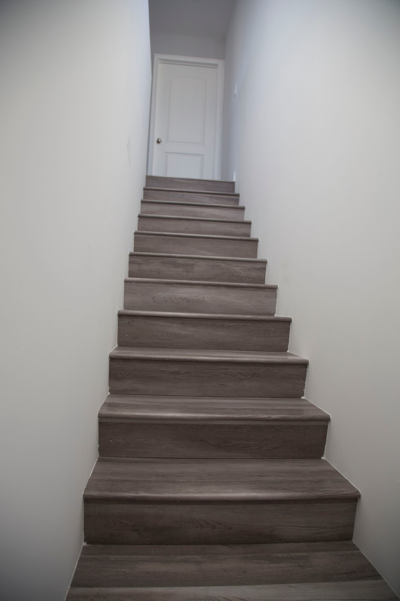 Building Photo - 6708 Morella Ave