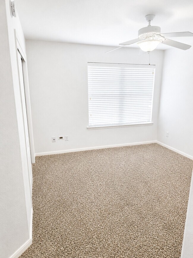 Building Photo - 7434 Tonsley Springs Dr