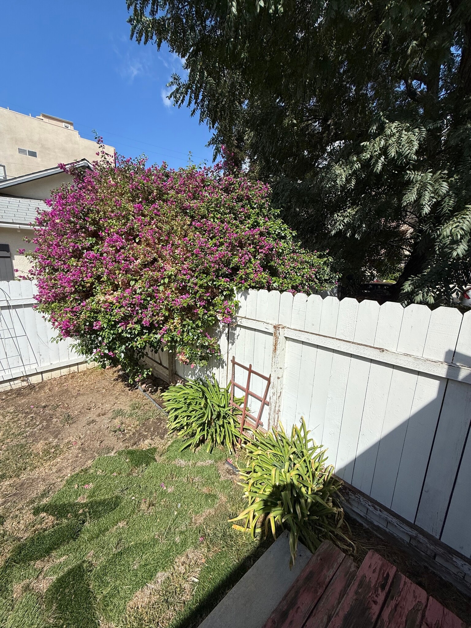 Building Photo - 11636 Valley Spring Ln