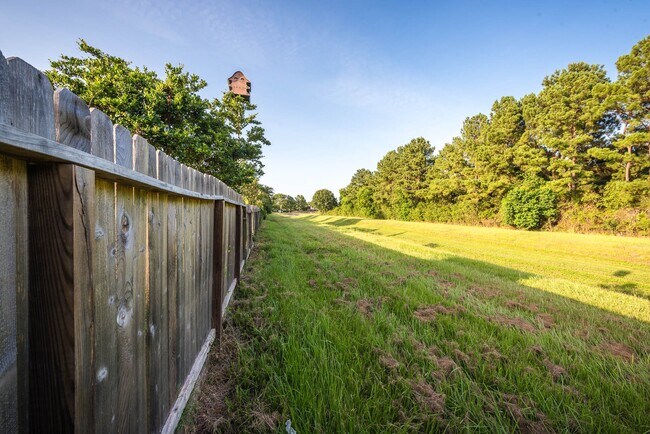Building Photo - 3231 Pedernales Trails Ln