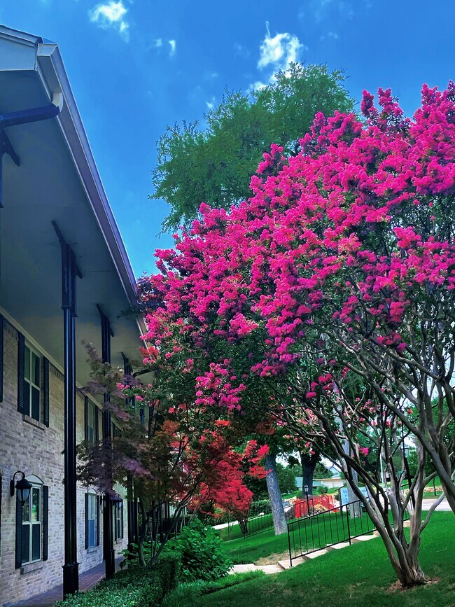 You always can see flowers when you look out the window. - 7718 Royal Ln