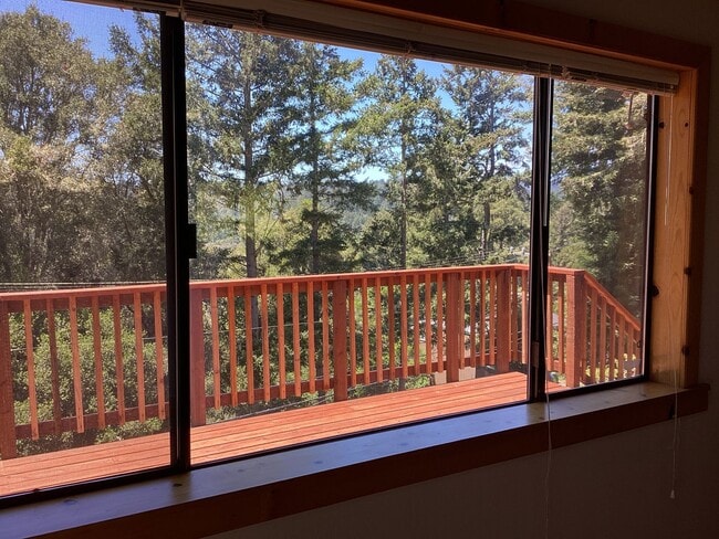 Building Photo - Sunny Redwoods
