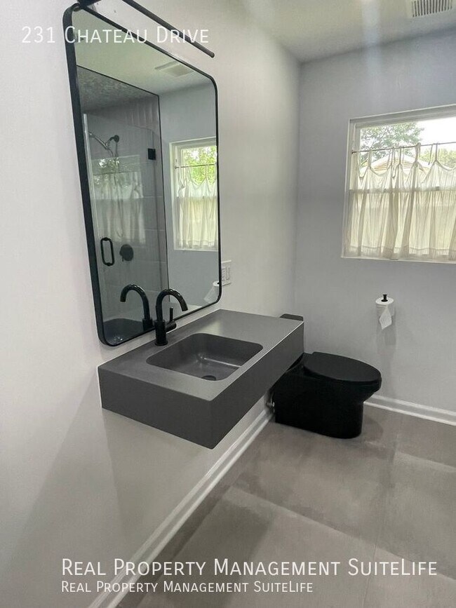 Building Photo - 231 Chateau Dr