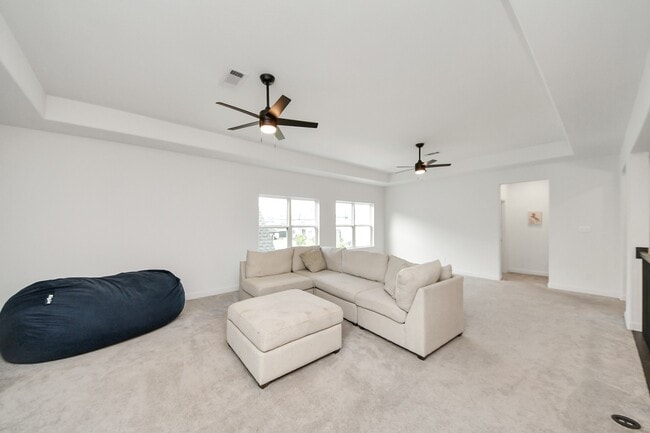 Building Photo - 4914 Olive Province Ln