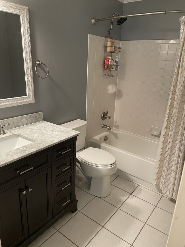 Master bathroom - 417 Olmsted Park Pl