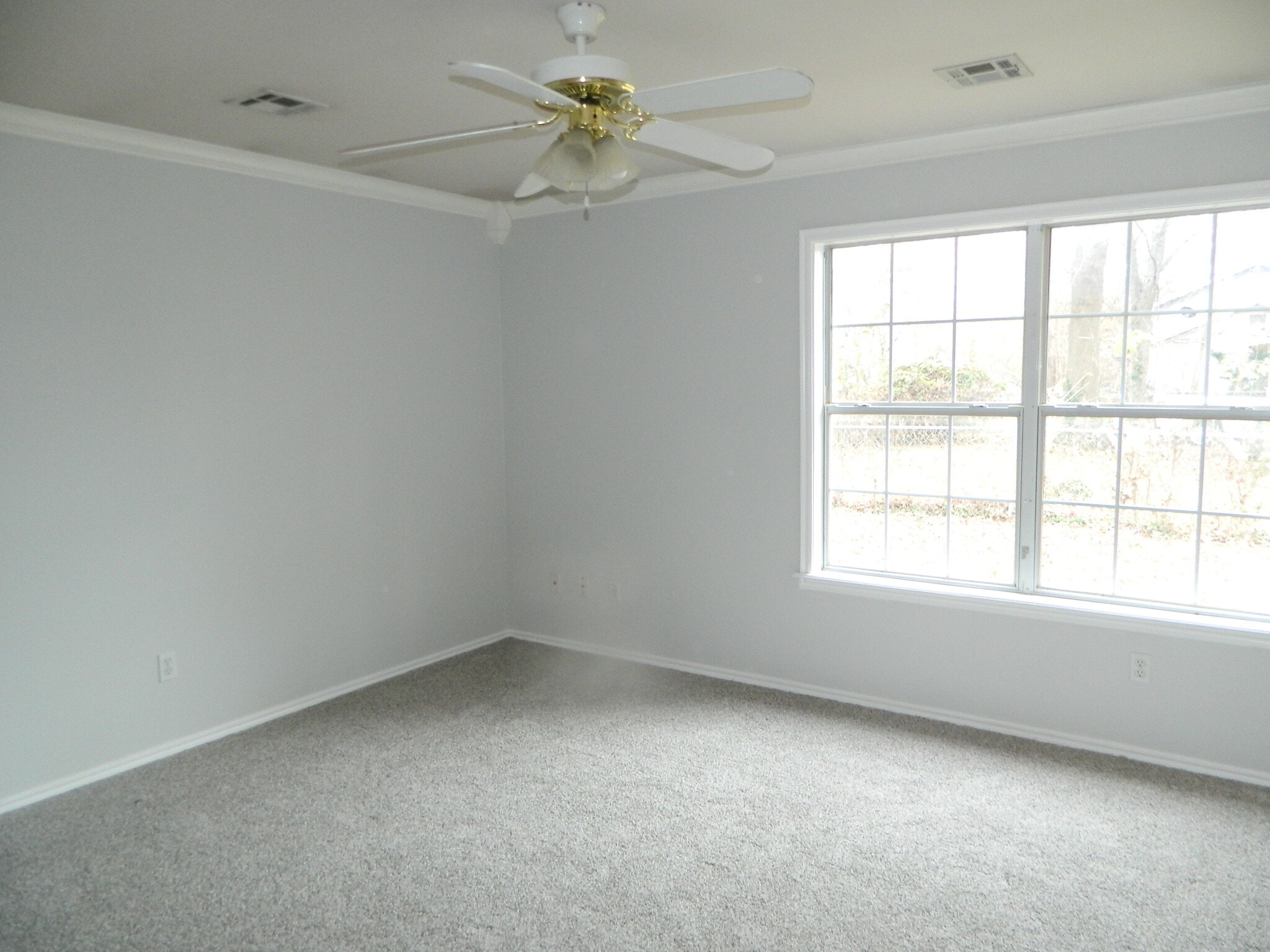 Master Bedroom (New Carpet in all bedrooms) - 1113 W South St