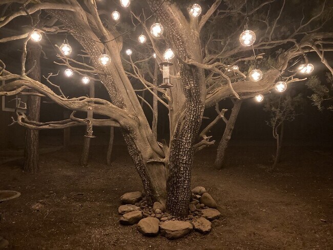 Building Photo - 3239 Pine Needle Dr