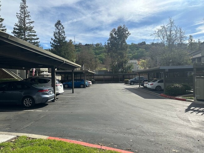 Building Photo - One Bedroom in a Great Community, Excellent Location, with a Pool!