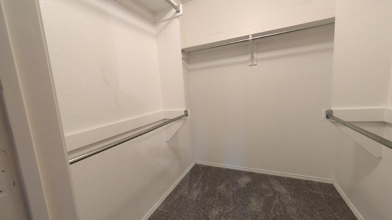 Building Photo - 921 Wintercreek Dr