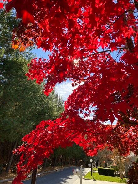 Building Photo - 60 Park Ave