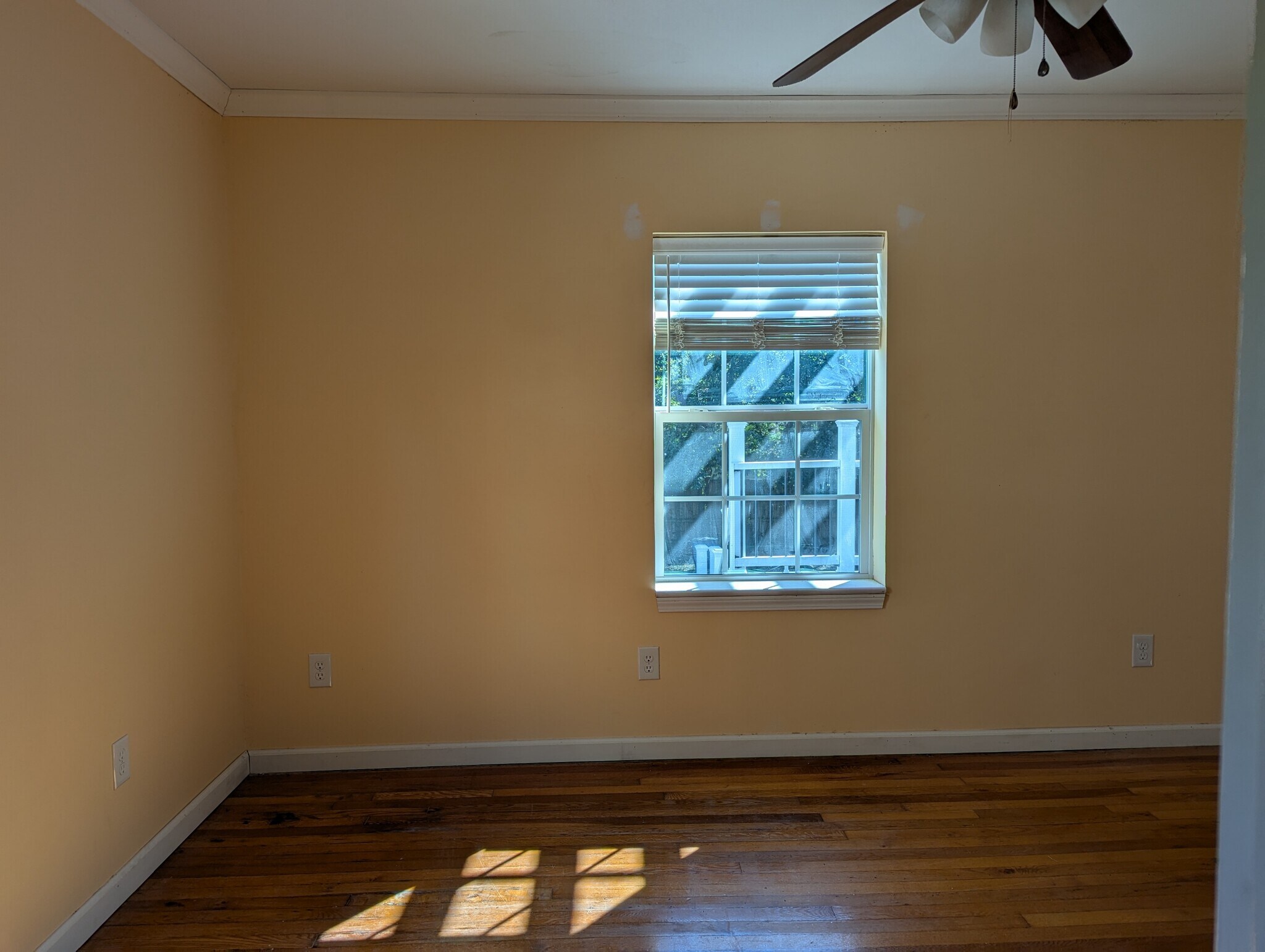 Building Photo - 527 Savannah Hwy