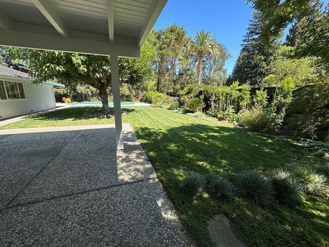 Building Photo - 5 Bed 3 Bath In Alamo W/ Pool