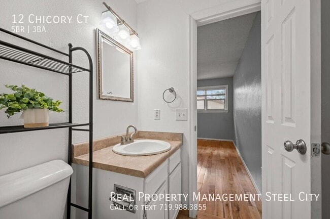 Building Photo - 12 Chicory Ct