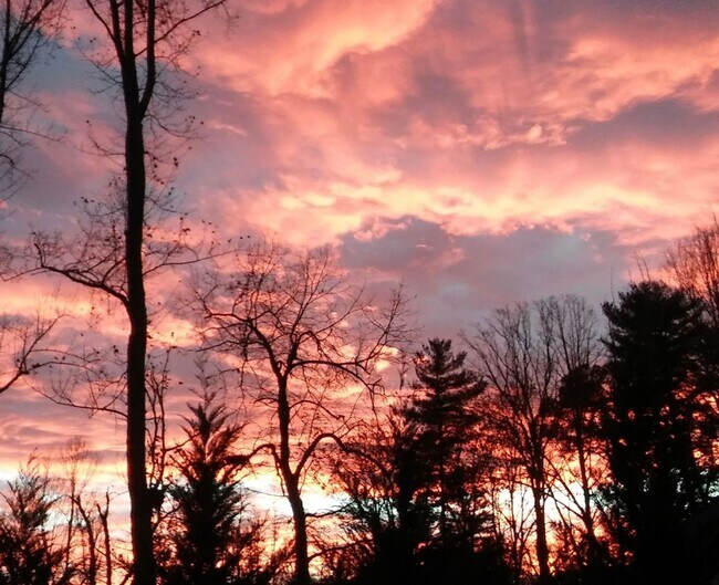 Building Photo - 3 Bedroom 1.5 bath house close to West Ash...