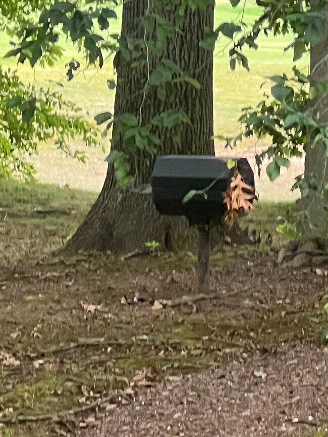 Building Photo - 1623 Old Pond Ln