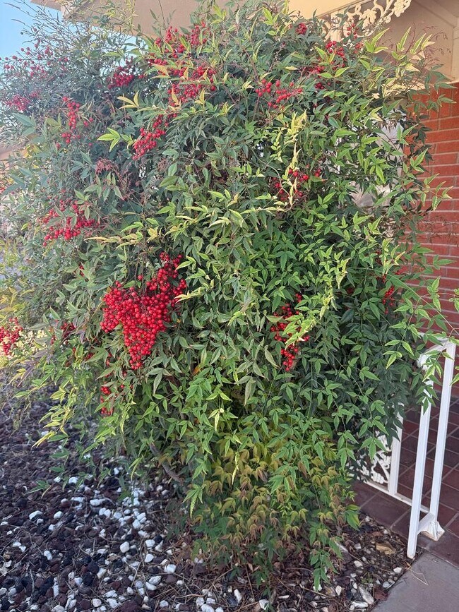 Building Photo - Large Vintage Home Available