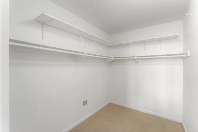 Building Photo - 2420 Torrey Pines Rd