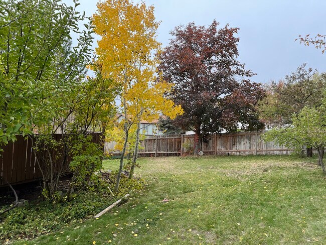 Building Photo - 2333 Cliff Swallow Dr