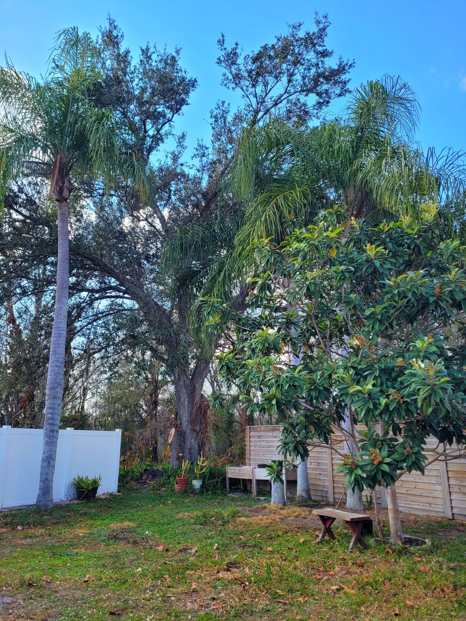 Building Photo - 1911 Tarpon Ct