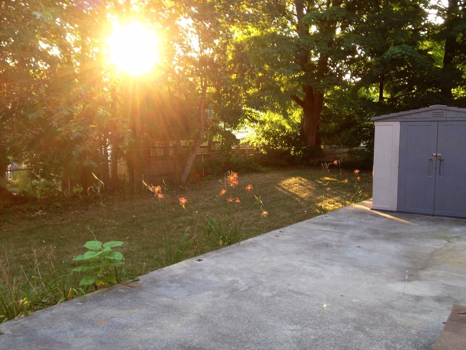 Building Photo - 70 Larch St