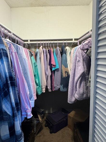 Building Photo - 1038 Mollie Ln