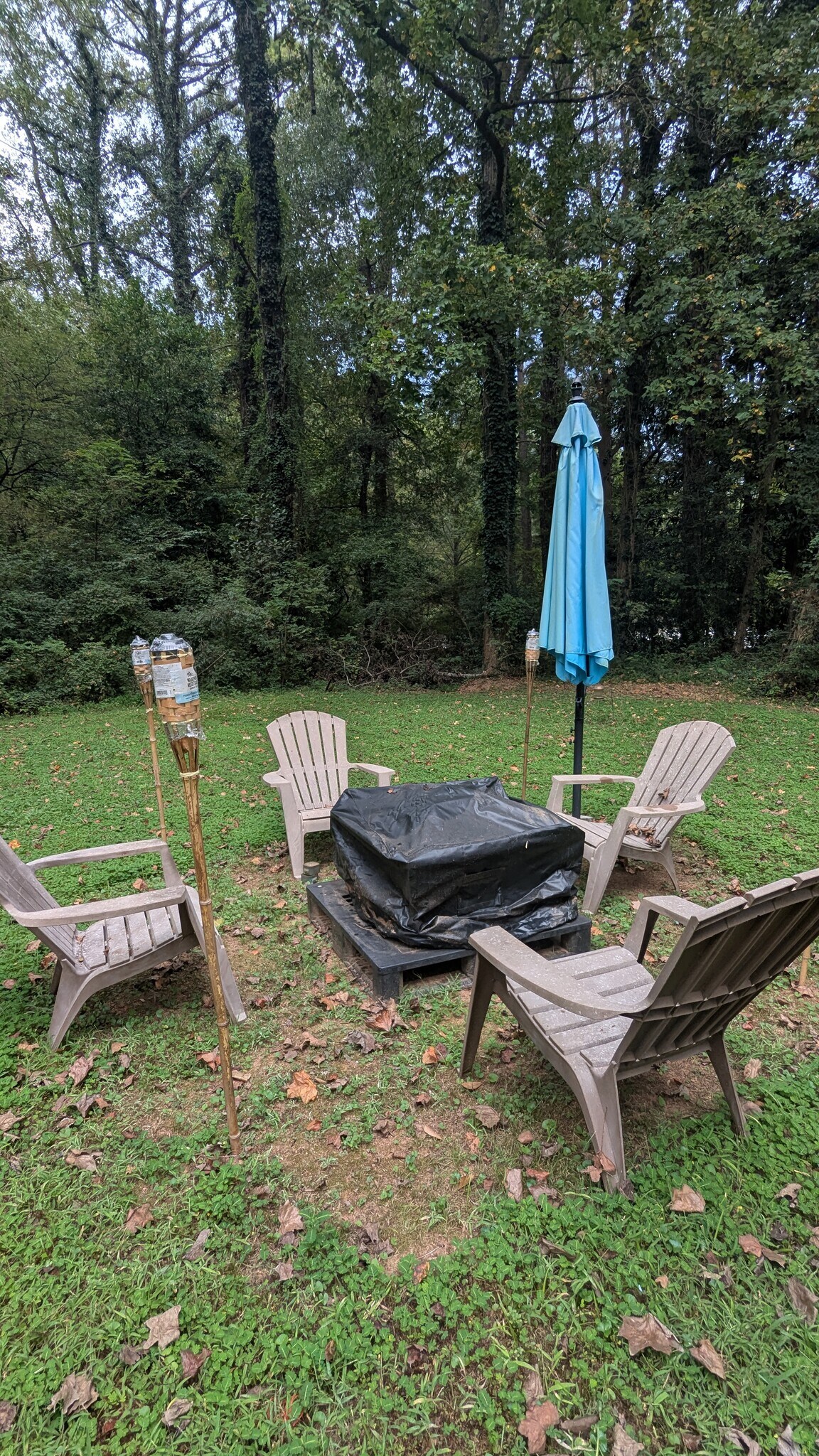 Fire pit with umbrella cover/tiki torches. - 3182 Latona Dr SW