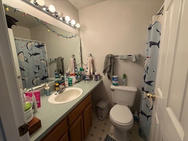 Building Photo - 811 Blueberry Ln