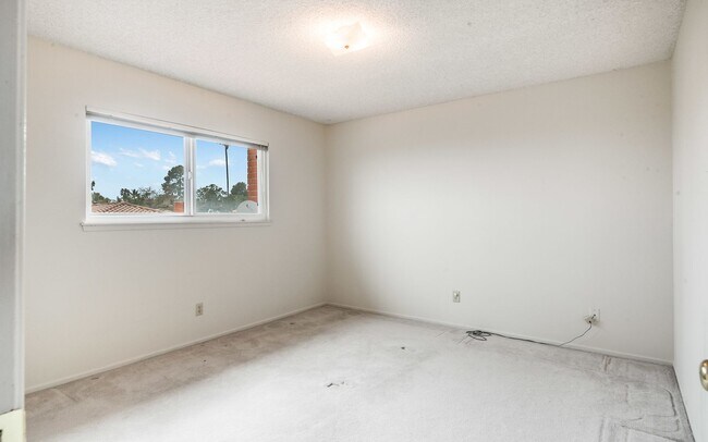 Building Photo - Tranquility on Beachside