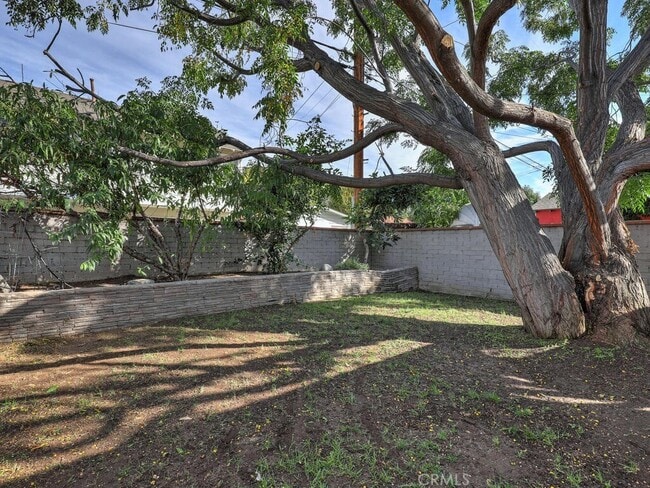 Building Photo - 229 Jacaranda Pl