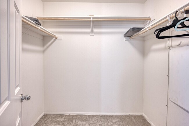 Building Photo - 520 Calle Vibrante